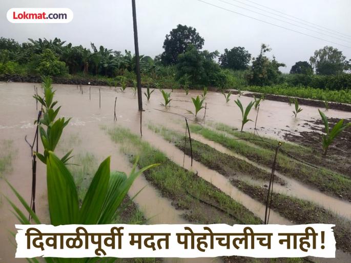 KYC 'break'! Grant worth Rs 1,139 crore to 16 lakh farmers in Marathwada stalled | केवायसीचा 'ब्रेक'! मराठवाड्यातील १६ लाख शेतकऱ्यांची ११३९ कोटी रुपयांची मदत रखडली KYC 'break'! Grant worth Rs 1,139 crore to 16 lakh farmers in Marathwada stalled | केवायसीचा 'ब्रेक'! मराठवाड्यातील १६ लाख शेतकऱ्यांची ११३९ कोटी रुपयांची मदत रखडली