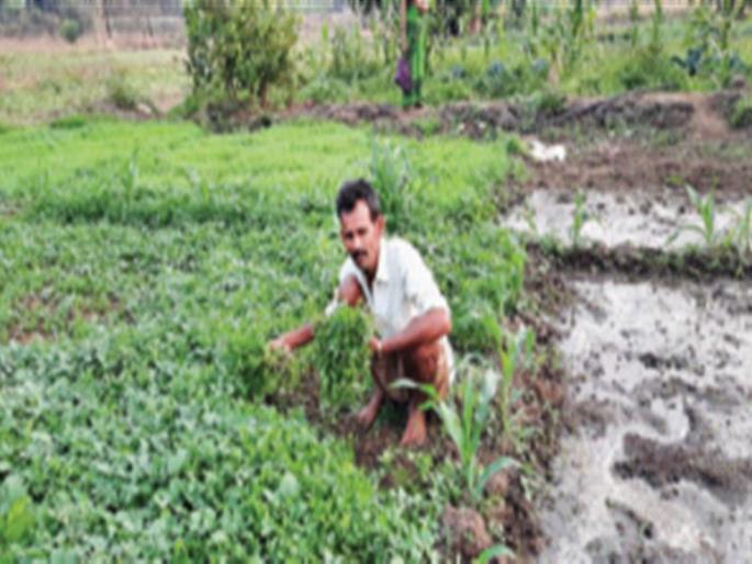 Customers come to the farm to buy vegetables | भाजीपाल्याच्या खरेदीसाठी ग्राहक येतात शेताच्या बांधावर
