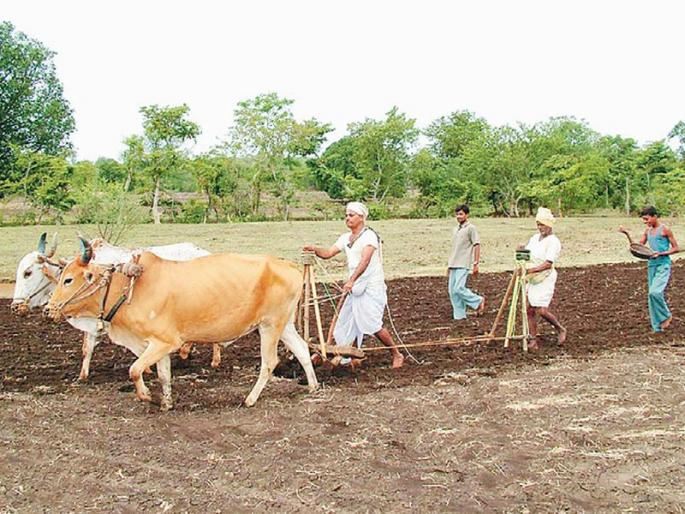 corporates have more npas than farmers | कर्जबुडवे कोण, शेतकरी की...? corporates have more npas than farmers | कर्जबुडवे कोण, शेतकरी की...?