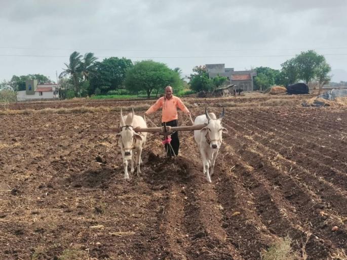 Extension of admission to agricultural courses in the state; Students can apply till 22 July! | राज्यातील कृषी अभ्यासक्रमाच्या प्रवेशाला मुदतवाढ; विद्यार्थ्यांना २२ जुलैपर्यंत अर्ज भरता येणार! Extension of admission to agricultural courses in the state; Students can apply till 22 July! | राज्यातील कृषी अभ्यासक्रमाच्या प्रवेशाला मुदतवाढ; विद्यार्थ्यांना २२ जुलैपर्यंत अर्ज भरता येणार!