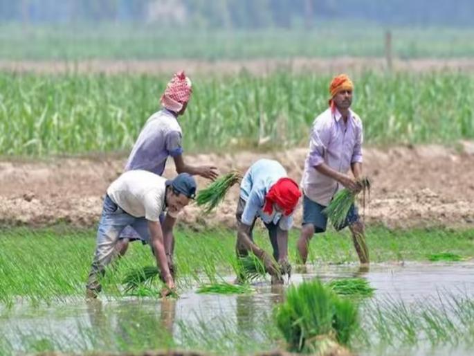 Crop insurance premium to the state is 1000, an additional burden of Rs. 53,000 crore compared to last year | पीक विम्याचा हप्ता राज्याला डोईजड, गेल्या वर्षाच्या तुलनेत सव्वातीन हजार कोटींचा अतिरिक्त भार Crop insurance premium to the state is 1000, an additional burden of Rs. 53,000 crore compared to last year | पीक विम्याचा हप्ता राज्याला डोईजड, गेल्या वर्षाच्या तुलनेत सव्वातीन हजार कोटींचा अतिरिक्त भार