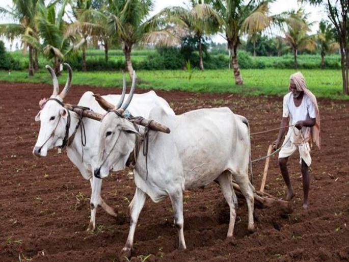 Double trouble on farmer Due to unseasonal weather the Panchanama of losses stopped the market prices also decreased | बळीराजावर दुहेरी संकट; अवकाळीमुळे नुकसानीचे पंचनामे रखडले, बाजारभावही घटले Double trouble on farmer Due to unseasonal weather the Panchanama of losses stopped the market prices also decreased | बळीराजावर दुहेरी संकट; अवकाळीमुळे नुकसानीचे पंचनामे रखडले, बाजारभावही घटले