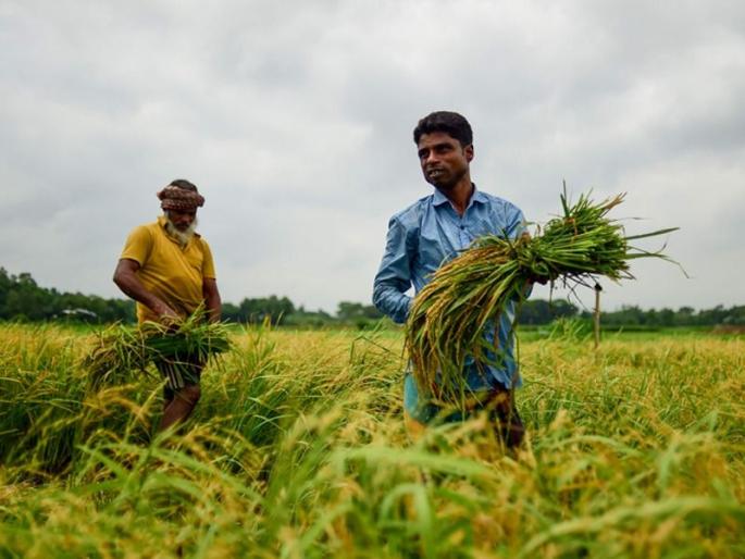 Expansion of Kisan Scheme will increase! | शेतकऱ्यांसाठी 'गुड न्यूज'; सरकार किसान योजनेची व्याप्ती वाढवणार