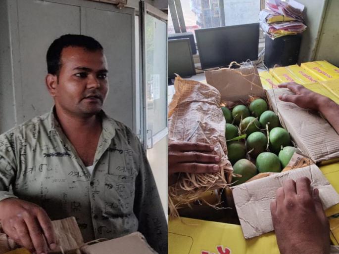 Alphonso Mango of Ratnagiri brought and confiscated as mango of Karnataka Punishment of farmers in Pune market committee for being thieves | रत्नागिरीचा हापूस आणला अन् कर्नाटकचा आंबा म्हणून जप्त केला; पुणे बाजार समितीत चोर समजून शेतकऱ्याला शिक्षा! Alphonso Mango of Ratnagiri brought and confiscated as mango of Karnataka Punishment of farmers in Pune market committee for being thieves | रत्नागिरीचा हापूस आणला अन् कर्नाटकचा आंबा म्हणून जप्त केला; पुणे बाजार समितीत चोर समजून शेतकऱ्याला शिक्षा!