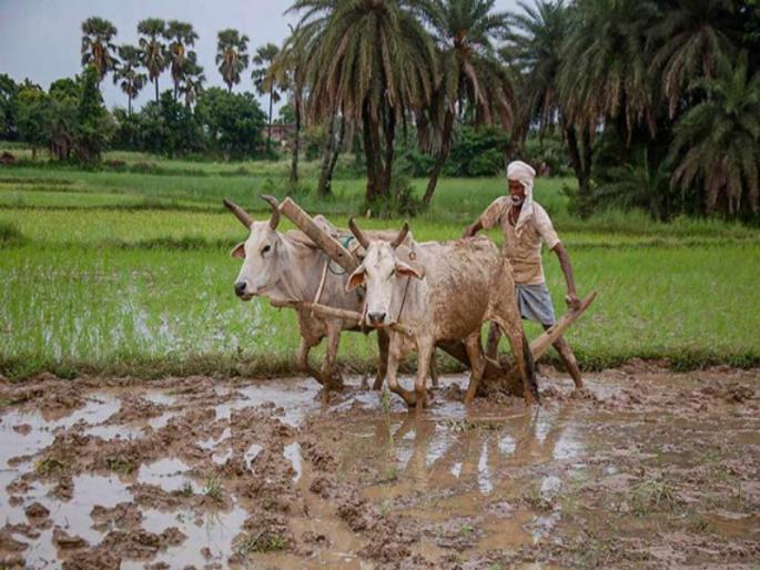 Baliraja will get relief This year the average rainfall will be the same according to the forecast of the Meteorological Department | monsoon 2023: बळीराजाला दिलासा मिळणार; यंदा सरासरी इतकाच पाऊस पडणार, हवामान विभागाचा अंदाज Baliraja will get relief This year the average rainfall will be the same according to the forecast of the Meteorological Department | monsoon 2023: बळीराजाला दिलासा मिळणार; यंदा सरासरी इतकाच पाऊस पडणार, हवामान विभागाचा अंदाज