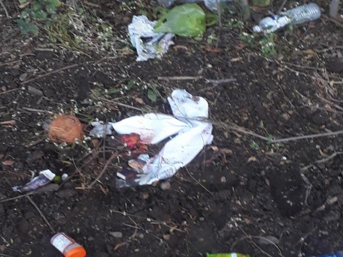 bad type of material faund in the field in indapur | अघोरी कृत्य! इंदापूरात शेतात आढळले नारळ, टाचण्या टोचलेले लिंबू, हळद - कुंकू; शेतकरी कुटुंब भयभीत bad type of material faund in the field in indapur | अघोरी कृत्य! इंदापूरात शेतात आढळले नारळ, टाचण्या टोचलेले लिंबू, हळद - कुंकू; शेतकरी कुटुंब भयभीत