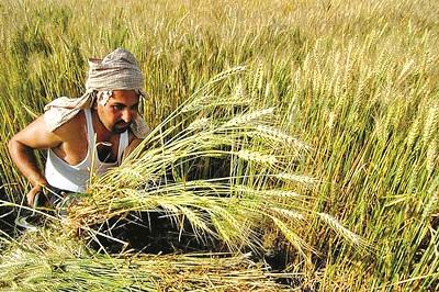 'Tension' for loan waiver: Kolhapur Assistant Registrar at the hospital | कर्जमाफीच्या कामाचे ‘टेन्शन’: कोल्हापूर सहायक निबंधक रुग्णालयात  'Tension' for loan waiver: Kolhapur Assistant Registrar at the hospital | कर्जमाफीच्या कामाचे ‘टेन्शन’: कोल्हापूर सहायक निबंधक रुग्णालयात