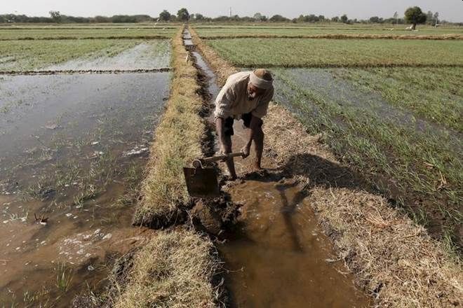 BJP to interact with disgruntled farmers, farmers contact in western Uttar Pradesh | नाराज शेतकऱ्यांशी संवाद साधणार भाजप, पश्चिम उत्तर प्रदेशमध्ये शेतकरी संपर्क BJP to interact with disgruntled farmers, farmers contact in western Uttar Pradesh | नाराज शेतकऱ्यांशी संवाद साधणार भाजप, पश्चिम उत्तर प्रदेशमध्ये शेतकरी संपर्क