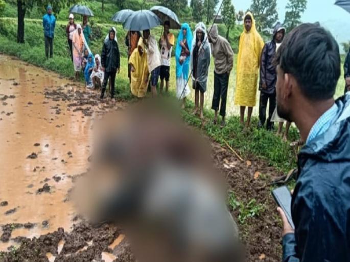 Two bulls were killed on the spot by lightning farmer of Junnar taluka in financial crisis | विजेच्या धक्क्याने दोन बैल जागीच ठार; जुन्नर तालुक्यातील बळीराजा आर्थिक संकटात Two bulls were killed on the spot by lightning farmer of Junnar taluka in financial crisis | विजेच्या धक्क्याने दोन बैल जागीच ठार; जुन्नर तालुक्यातील बळीराजा आर्थिक संकटात