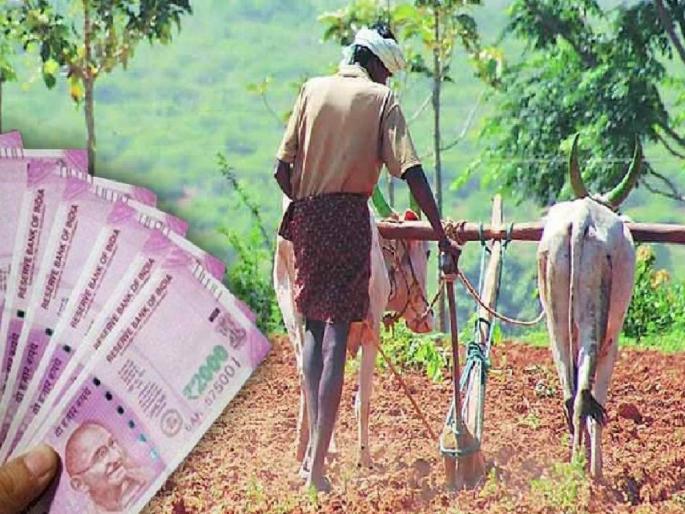Did the rabbi, preparing to sow, propose a loan? Aim to provide loan to 14 thousand farmers during Rabi season | रब्बी पेरणीची तयारी करताय, कर्जासाठी प्रस्ताव दिला का?