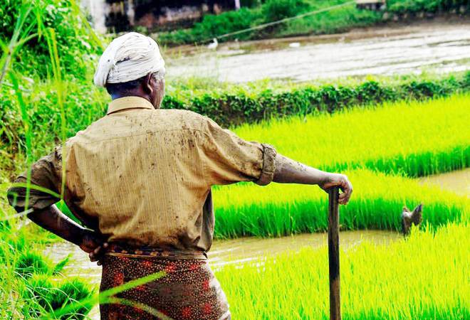 "Reforms in agricultural laws increase farmer suicides" - kishor tiwari | "कृषी कायद्यातील सुधारणेमुळे शेतकरी आत्महत्या वाढल्या"