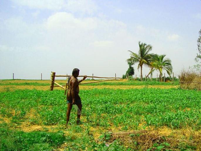 Lenders are forced to relinquish their confiscated lands in Jalgaon | सावकारांच्या जबरदस्तीला लगाम, बळकावलेली शेती मिळते परत!