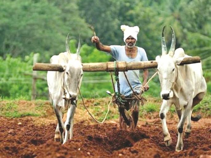 1461 crore loan waiver will be received in Nanded district; The first list includes 423 farmers | नांदेड जिल्ह्यात १४६१ कोटींची कर्जमाफी मिळणार; पहिल्या यादीत ४२३ शेतकऱ्यांचा समावेश 1461 crore loan waiver will be received in Nanded district; The first list includes 423 farmers | नांदेड जिल्ह्यात १४६१ कोटींची कर्जमाफी मिळणार; पहिल्या यादीत ४२३ शेतकऱ्यांचा समावेश