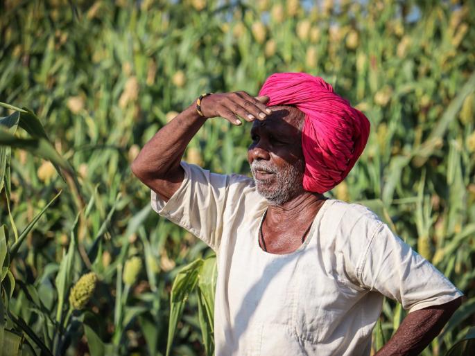 More than once subsidy given to 2399 farmers in Chhatrapati Sambhajinagar | सॉप्टवेअरचा घोळ अन् छत्रपती संभाजीनगरात २३९९ शेतकऱ्यांना एकापेक्षा अधिकवेळा अनुदान