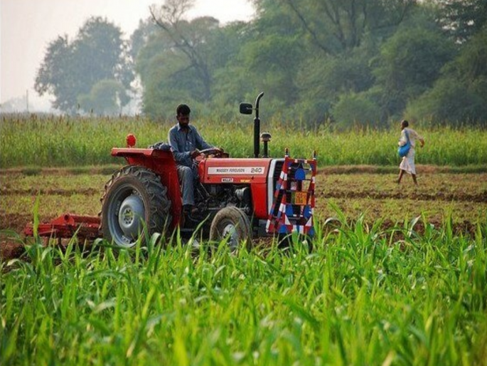 There is no authorized moneylender, so how can unlicensed moneylenders operate? Exploitation of farmers does not stop | फुलंब्री, गंगापूर, सोयगाव व खुलताबाद तालुक्यात परवानाधारक सावकार नाही, पिळवणूक थांबेना There is no authorized moneylender, so how can unlicensed moneylenders operate? Exploitation of farmers does not stop | फुलंब्री, गंगापूर, सोयगाव व खुलताबाद तालुक्यात परवानाधारक सावकार नाही, पिळवणूक थांबेना