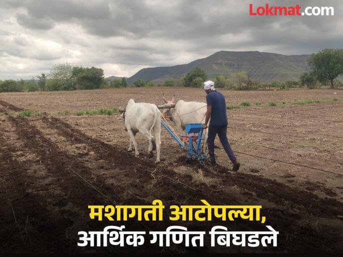 Tillage is over, farmers are in financial trouble due to 10 percent increase in seed prices! | मशागती आटोपल्या, बियाणांच्या दरात १० टक्क्यांनी वाढ झाल्याने शेतकऱ्यांची आर्थिक कोंडी! Tillage is over, farmers are in financial trouble due to 10 percent increase in seed prices! | मशागती आटोपल्या, बियाणांच्या दरात १० टक्क्यांनी वाढ झाल्याने शेतकऱ्यांची आर्थिक कोंडी!