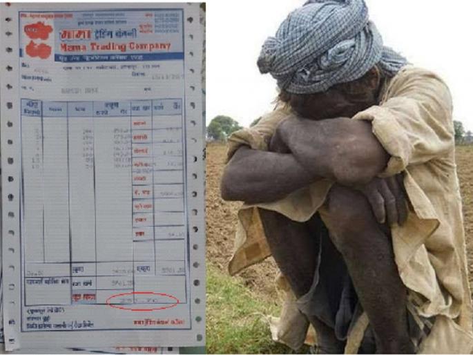 '..will farming done or suicide'; only 233 rupees come from 720 kg pomegranate sell | 'आता शेती कराव की मराव'; ७२० किलो डाळींब विक्रीतून आले केवळ २३३ रुपये  '..will farming done or suicide'; only 233 rupees come from 720 kg pomegranate sell | 'आता शेती कराव की मराव'; ७२० किलो डाळींब विक्रीतून आले केवळ २३३ रुपये