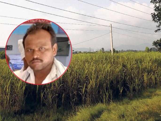 While spraying the field, the electric wire broke and fell on him, the farmer died on the spot | शेतात फवारणी करताना अचानक विद्युत तार तुटून अंगावर पडली, शेतकऱ्याचा जागीच मृत्यू While spraying the field, the electric wire broke and fell on him, the farmer died on the spot | शेतात फवारणी करताना अचानक विद्युत तार तुटून अंगावर पडली, शेतकऱ्याचा जागीच मृत्यू