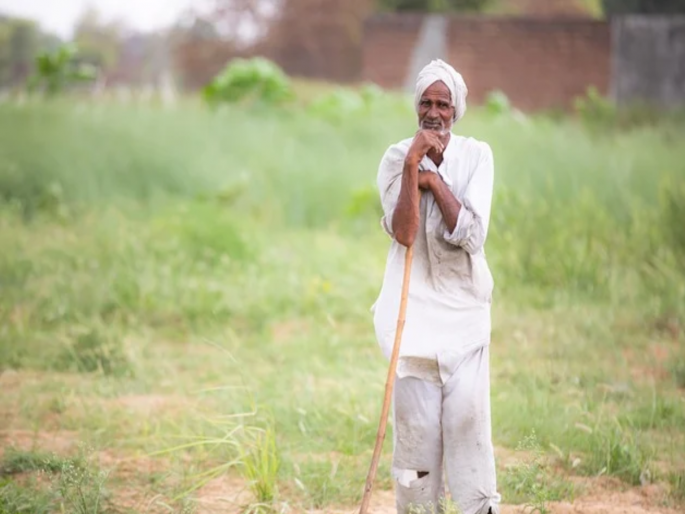 Reluctance to provide immediate assistance to the families of deceased farmers, the heirs have to wait | मृत शेतकऱ्यांच्या कुटुंबीयांना तत्काळ मदत देण्यास टाळाटाळ, वारसांना करावी लागते प्रतीक्षा Reluctance to provide immediate assistance to the families of deceased farmers, the heirs have to wait | मृत शेतकऱ्यांच्या कुटुंबीयांना तत्काळ मदत देण्यास टाळाटाळ, वारसांना करावी लागते प्रतीक्षा