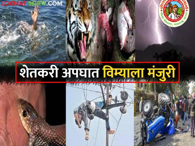 Gopinath Munde Accident Safety Grant Scheme; Approval of 1 thousand 50 claims of farmers | गोपीनाथ मुंडे अपघात सुरक्षा सानुग्रह अनुदान योजना; शेतकऱ्यांच्या १ हजार ५० दाव्यांना मंजुरी