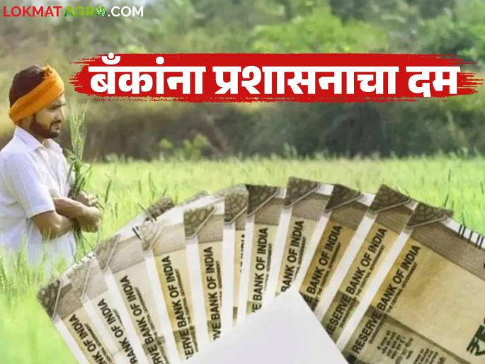 latest news Farmer Accounts Hold: Banks urged by administration: Action will be taken if farmers' money is held, read in detail | Farmer Accounts Hold : बँकांना प्रशासनाचा दम : शेतकऱ्यांचे पैसे रोखाल तर होईल कारवाई वाचा सविस्तर latest news Farmer Accounts Hold: Banks urged by administration: Action will be taken if farmers' money is held, read in detail | Farmer Accounts Hold : बँकांना प्रशासनाचा दम : शेतकऱ्यांचे पैसे रोखाल तर होईल कारवाई वाचा सविस्तर
