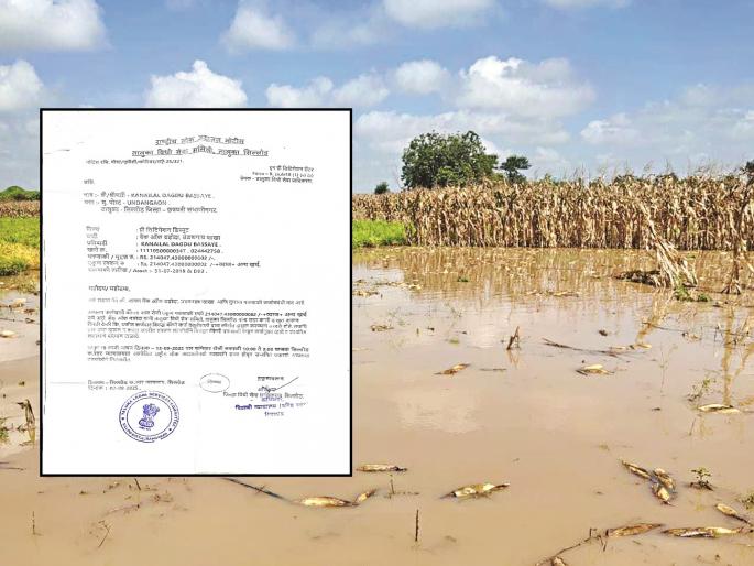 Chief Minister's order 'eviction'! Bank notices to 35 more farmers while loan recovery is suspended | मुख्यमंत्र्यांचा आदेश 'बेदखल'! कर्जवसुली स्थगित असताना आणखी ३५ शेतकऱ्यांना बॅंकेची नोटीस Chief Minister's order 'eviction'! Bank notices to 35 more farmers while loan recovery is suspended | मुख्यमंत्र्यांचा आदेश 'बेदखल'! कर्जवसुली स्थगित असताना आणखी ३५ शेतकऱ्यांना बॅंकेची नोटीस