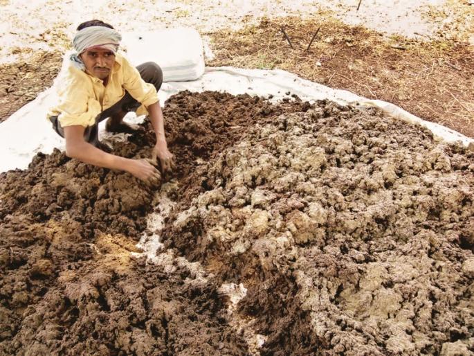 Filled with poisonous food production | विषमुक्त अन्ननिर्मितीवर भर Filled with poisonous food production | विषमुक्त अन्ननिर्मितीवर भर