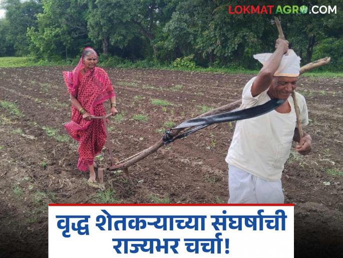 latest news Government supports Ambadas Pawar's struggle; Ministers rush to help farmer Read in detail | अंबादास पवार यांच्या संघर्षाला शासनाची साथ; शेतकऱ्याच्या मदतीला मंत्री धावले वाचा सविस्तर