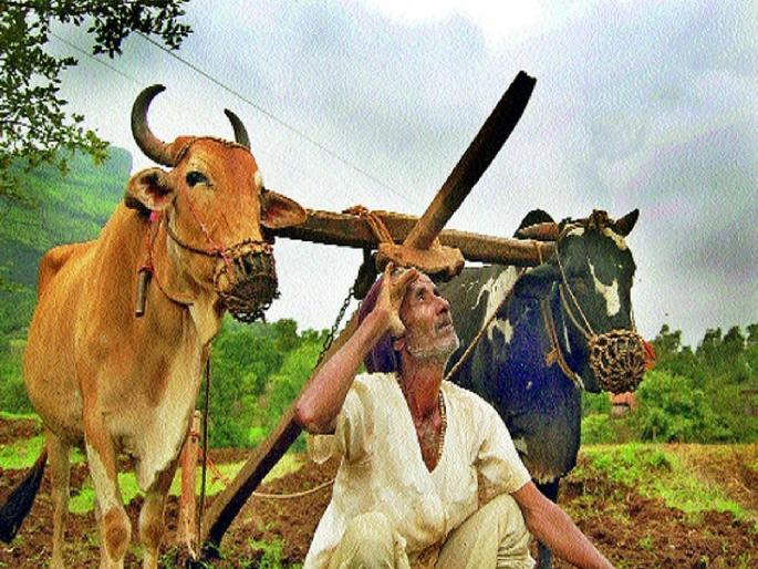 As the rulers are engrossed in the drama of power, they ignore the farmers issues | राज्यकर्ते सत्ता नाट्यात गुंग; शेतकऱ्याची मात्र मती गुंग