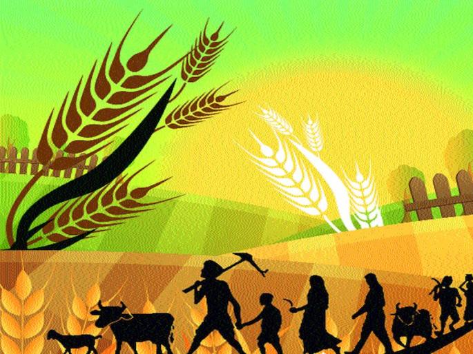 This year's budget will focus on special programs on agriculture, production growth | यंदाचे बजेट कृषिप्रधान , उत्पादन वाढीसाठी विशेष योजनांवर भर This year's budget will focus on special programs on agriculture, production growth | यंदाचे बजेट कृषिप्रधान , उत्पादन वाढीसाठी विशेष योजनांवर भर