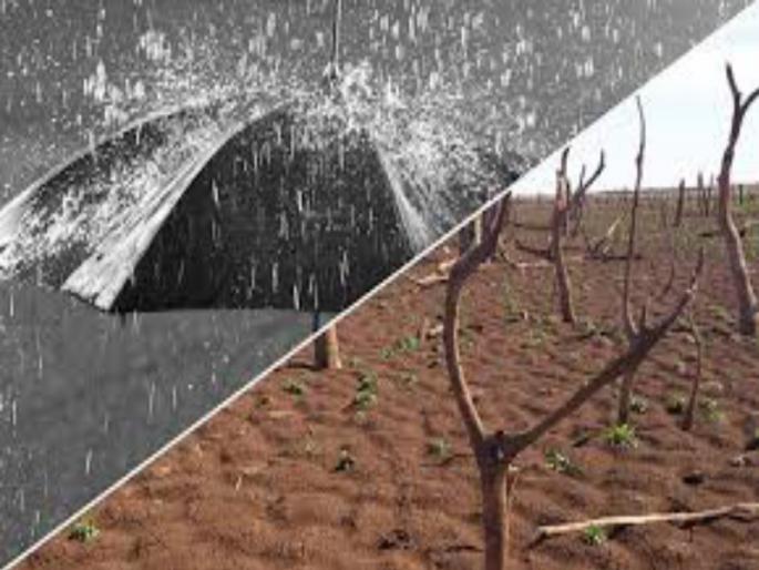 Damage to the agricultural land of 4 lakh hectares due to floods | पुरामुळे ४ लाख हेक्टरवरील शेतीचे नुकसान Damage to the agricultural land of 4 lakh hectares due to floods | पुरामुळे ४ लाख हेक्टरवरील शेतीचे नुकसान