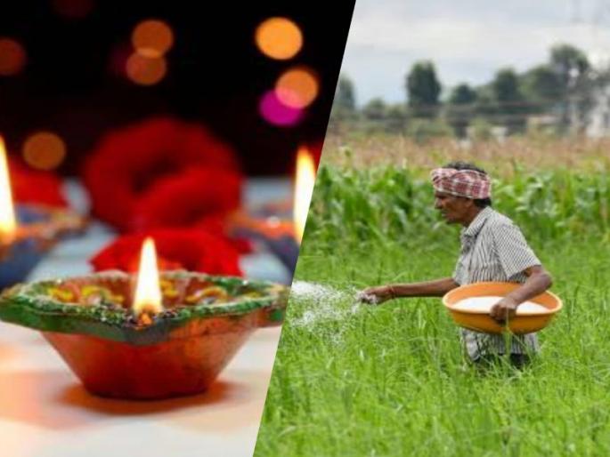 farmers happy in diwali will be only stop the rain | वरुणराजाने विश्रांती घेतली तरच बळीराजाची दिवाळी होणार गोड farmers happy in diwali will be only stop the rain | वरुणराजाने विश्रांती घेतली तरच बळीराजाची दिवाळी होणार गोड