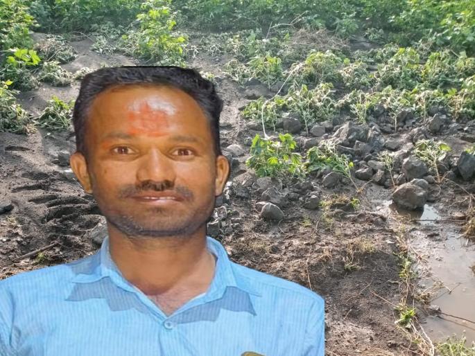 Heavy rains destroyed the crop, how will he repay the huge debt? A farmer ends his life in despair | अतिवृष्टीने पीक गेलं, डोकावरचे कर्ज कसे फिटेल; विवंचनेत शेतकऱ्याने संपवले जीवन Heavy rains destroyed the crop, how will he repay the huge debt? A farmer ends his life in despair | अतिवृष्टीने पीक गेलं, डोकावरचे कर्ज कसे फिटेल; विवंचनेत शेतकऱ्याने संपवले जीवन