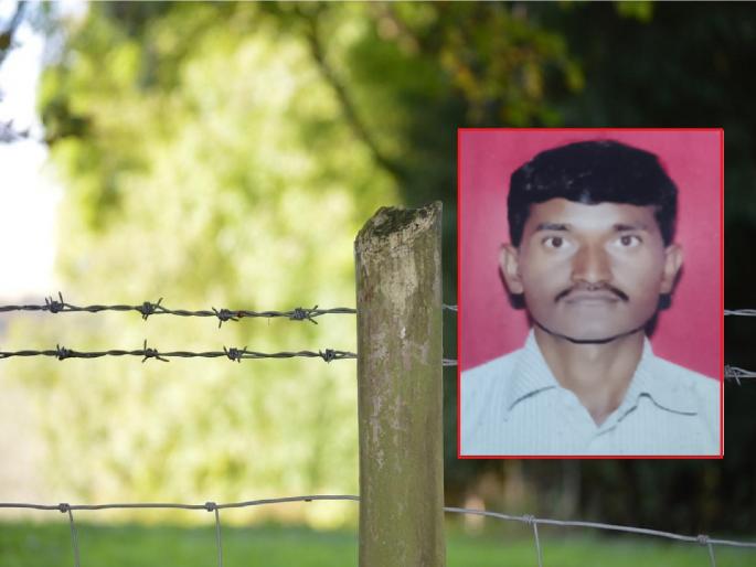 Attacked by electric fence, farmer dies by clinging to wire while saving bulls' lives | विद्युत कुंपणाने घात केला, बैलांचा जीव वाचविण्यास धावलेल्या शेतकऱ्याचाही मृत्यू Attacked by electric fence, farmer dies by clinging to wire while saving bulls' lives | विद्युत कुंपणाने घात केला, बैलांचा जीव वाचविण्यास धावलेल्या शेतकऱ्याचाही मृत्यू