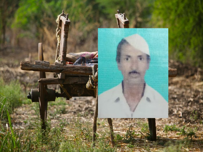 While bringing fodder, the bullock ran over and the cart overturned, killing the old farmer | चारा घेऊन येताना बैल उधळले अन् गाडी उलटली, वृध्द शेतकऱ्याचा मृत्यू While bringing fodder, the bullock ran over and the cart overturned, killing the old farmer | चारा घेऊन येताना बैल उधळले अन् गाडी उलटली, वृध्द शेतकऱ्याचा मृत्यू