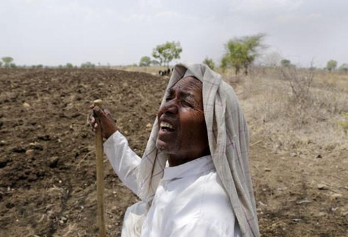Farmers in Nagpur district free of debt | नागपूर जिल्ह्यातील २३ हजारावर शेतकरी कर्जमुक्त Farmers in Nagpur district free of debt | नागपूर जिल्ह्यातील २३ हजारावर शेतकरी कर्जमुक्त