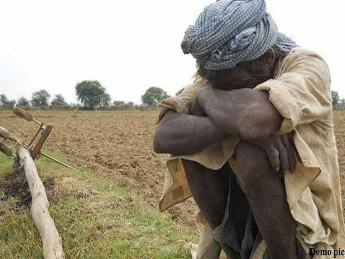 49,000 farmer suicides in 24 years; The statistics are shocking | २४ वर्षांत ४९ हजारांवर शेतकरी आत्महत्या; धक्कादायक आहे आकडेवारी 49,000 farmer suicides in 24 years; The statistics are shocking | २४ वर्षांत ४९ हजारांवर शेतकरी आत्महत्या; धक्कादायक आहे आकडेवारी