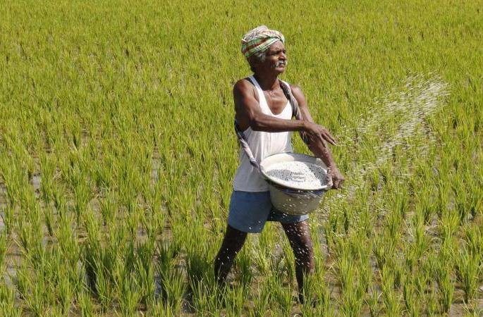 Shocking; 2 lakh 40 thousand farmers in Solapur district did not get any help | धक्कादायक; सोलापूर जिल्ह्यातील २ लाख ४० हजार शेतकऱ्यांना मदत मिळालीच नाही Shocking; 2 lakh 40 thousand farmers in Solapur district did not get any help | धक्कादायक; सोलापूर जिल्ह्यातील २ लाख ४० हजार शेतकऱ्यांना मदत मिळालीच नाही