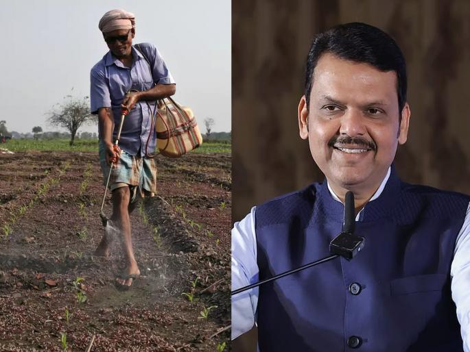 Farmers will now get Rs 15,000 per year as an honorarium; Fadnavis announces | शेतकऱ्यांना आता वर्षाला १५,००० रुपये सन्मान निधी; फडणवीसांची घोषणा Farmers will now get Rs 15,000 per year as an honorarium; Fadnavis announces | शेतकऱ्यांना आता वर्षाला १५,००० रुपये सन्मान निधी; फडणवीसांची घोषणा