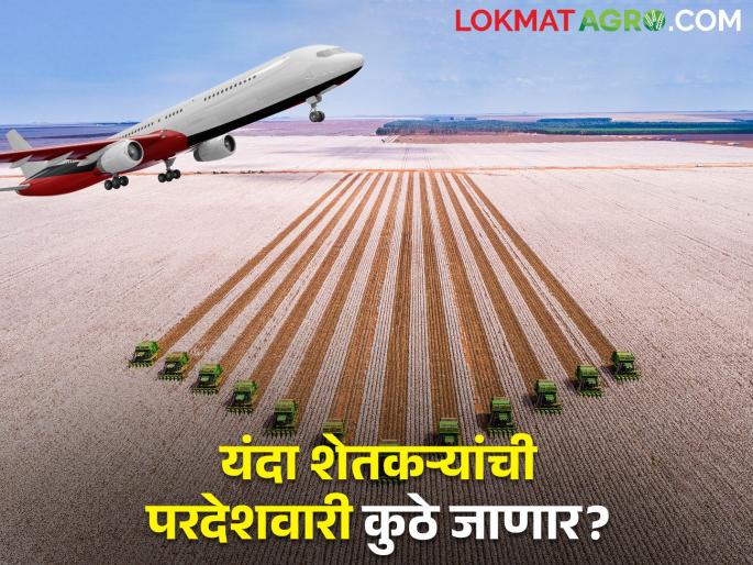 120 farmers of the state left abroad for agricultural studies | राज्यातील १२० शेतकरी शेती अभ्यासासाठी निघाले सातासमुद्रापार