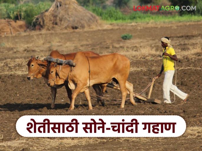 Farmers are mortgaging gold and silver for seeds, fertilizers, pesticides purchase; Read in detail | शेतकरी बी-बियाणे, खते, औषधांसाठी सोने-चांदी ठेवतायत गहाण; वाचा सविस्तर Farmers are mortgaging gold and silver for seeds, fertilizers, pesticides purchase; Read in detail | शेतकरी बी-बियाणे, खते, औषधांसाठी सोने-चांदी ठेवतायत गहाण; वाचा सविस्तर