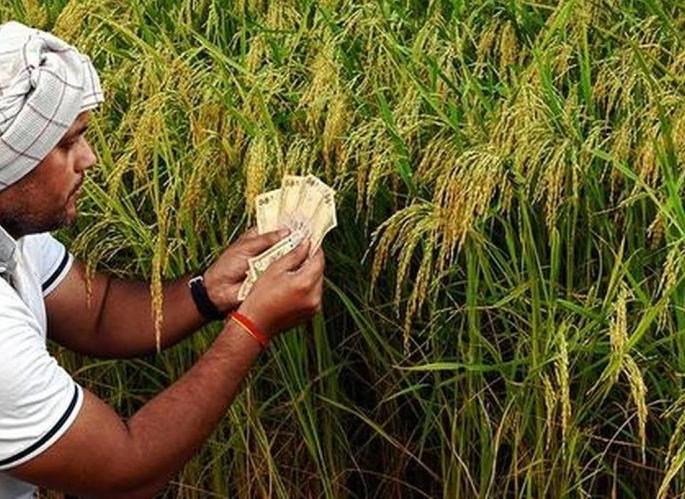 248 crore proposal for the help of farmers | २.९७ लाख शेतकऱ्यांच्या मदतीसाठी २४८ कोटींचा प्रस्ताव! 248 crore proposal for the help of farmers | २.९७ लाख शेतकऱ्यांच्या मदतीसाठी २४८ कोटींचा प्रस्ताव!