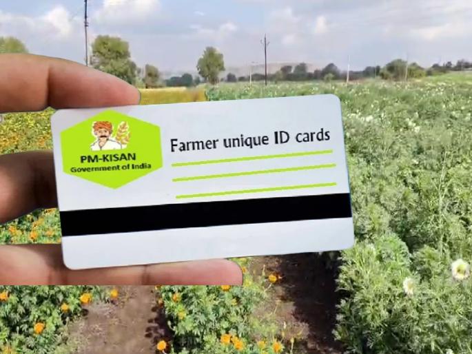 Farmers beware, if you provide false documents, your 'Farmer ID' will be blocked | शेतकऱ्यांनो सावधान, खोटी कागदपत्रे दिल्यास ‘फार्मर आयडी’ ब्लॉक होणार, वसुलीही होणार! Farmers beware, if you provide false documents, your 'Farmer ID' will be blocked | शेतकऱ्यांनो सावधान, खोटी कागदपत्रे दिल्यास ‘फार्मर आयडी’ ब्लॉक होणार, वसुलीही होणार!