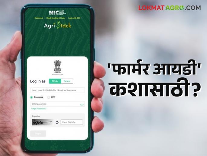 Agristack Farmer Id : What is the purpose of the Farmer ID given to farmers? What will be its benefits? Read in detail | Farmer Id : शेतकऱ्यांना दिले जाणारे फार्मर आयडी कशासाठी? काय होणार त्याचा फायदा? वाचा सविस्तर Agristack Farmer Id : What is the purpose of the Farmer ID given to farmers? What will be its benefits? Read in detail | Farmer Id : शेतकऱ्यांना दिले जाणारे फार्मर आयडी कशासाठी? काय होणार त्याचा फायदा? वाचा सविस्तर