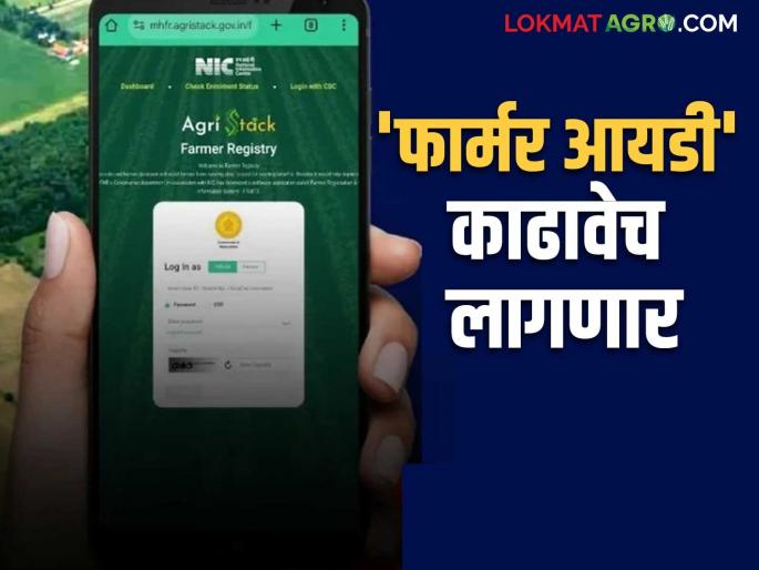 Farmer id Update : Farmer ID is now mandatory to avail benefits of Agriculture Department schemes; Government GR come | Farmer id Update : कृषी विभागाच्या योजनांचा लाभ घ्यायचा असेल तर आता फार्मर आयडी बंधनकारक; शासन निर्णय आला Farmer id Update : Farmer ID is now mandatory to avail benefits of Agriculture Department schemes; Government GR come | Farmer id Update : कृषी विभागाच्या योजनांचा लाभ घ्यायचा असेल तर आता फार्मर आयडी बंधनकारक; शासन निर्णय आला