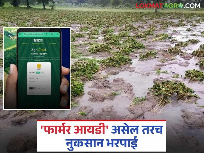 Farmer ID will also be required for compensation for crop and agricultural land damage caused by natural disasters; Read in detail | नैसर्गिक आपत्तीमुळे झालेल्या पिक व शेतजमीनीच्या नुकसान भरपाईसाठीही आता फार्मर आयडी लागणार