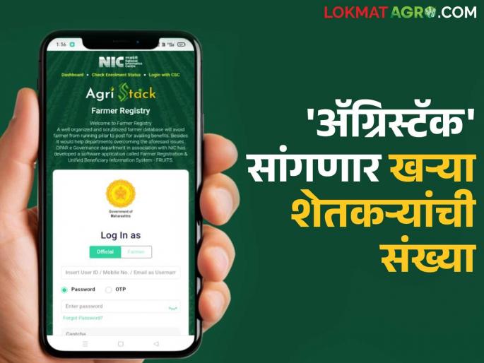 The number of real farmers has decreased, statistics from the Agristak scheme are clear; know in detail | खऱ्या शेतकऱ्यांची संख्या झाली कमी, ॲग्रिस्टॅक योजनेतून आकडेवारी स्पष्ट; जाणून घ्या सविस्तर