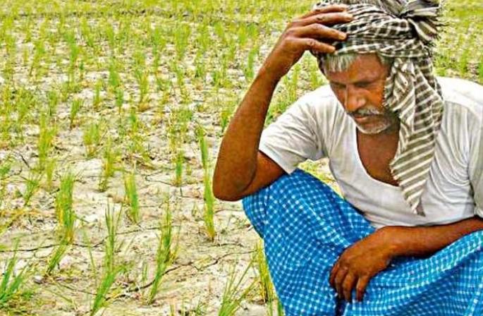 Why the need for appraisal for new crop loans? | नवीन पीक कर्जासाठी मूल्यांकनाची गरज कशाला? Why the need for appraisal for new crop loans? | नवीन पीक कर्जासाठी मूल्यांकनाची गरज कशाला?