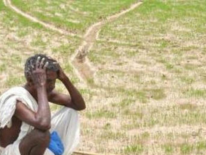 Give water for farming or compensate crops for a hefty 20,000 rupees! | शेतीसाठी पाणी द्या किंवा पिकांची नुकसान भरपाई म्हणून हेक्टरी २० हजार रुपये द्या! Give water for farming or compensate crops for a hefty 20,000 rupees! | शेतीसाठी पाणी द्या किंवा पिकांची नुकसान भरपाई म्हणून हेक्टरी २० हजार रुपये द्या!