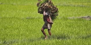 inconvenient for the farmer's due to rain | पावसामुळे शेतक-यांची बाजारात धांदल inconvenient for the farmer's due to rain | पावसामुळे शेतक-यांची बाजारात धांदल